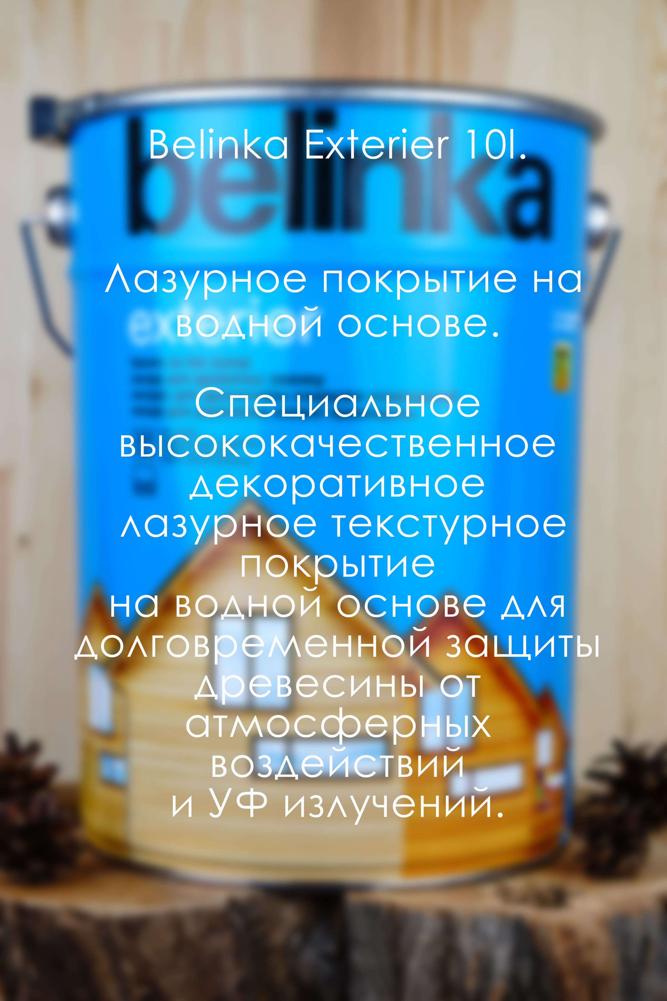 BELINKA (БЕЛИНКА) EXTERIER 10 л. №67 ориентально-оранжевый 2