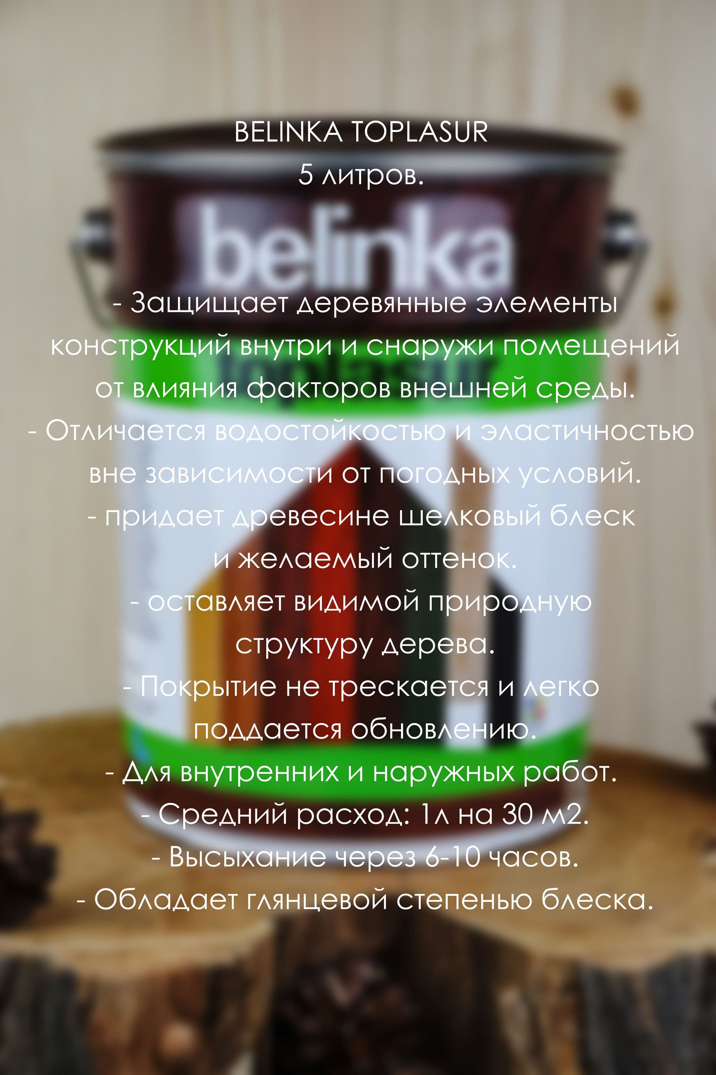 BELINKA (БЕЛИНКА) TOPLASUR 5 л. №11 Белый 3